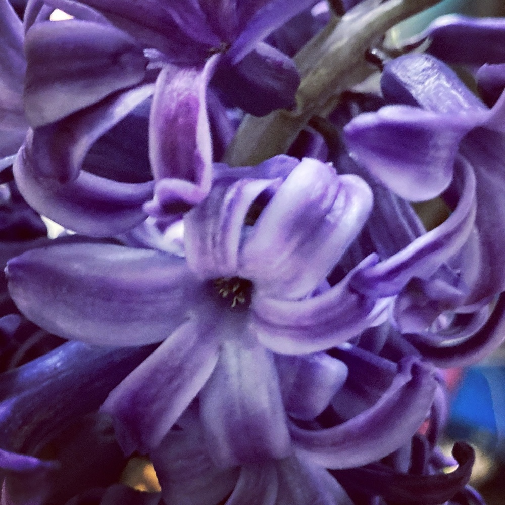 Meet your Posher, Kerry